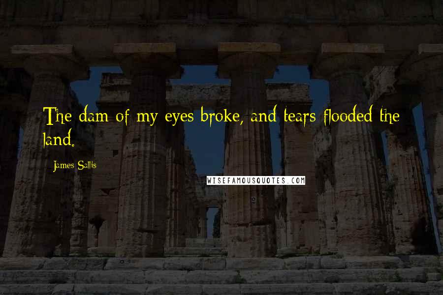 James Sallis Quotes: The dam of my eyes broke, and tears flooded the land.