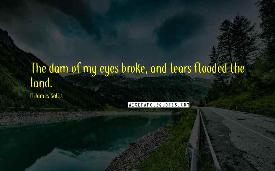 James Sallis Quotes: The dam of my eyes broke, and tears flooded the land.