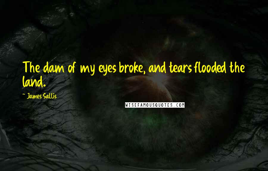 James Sallis Quotes: The dam of my eyes broke, and tears flooded the land.