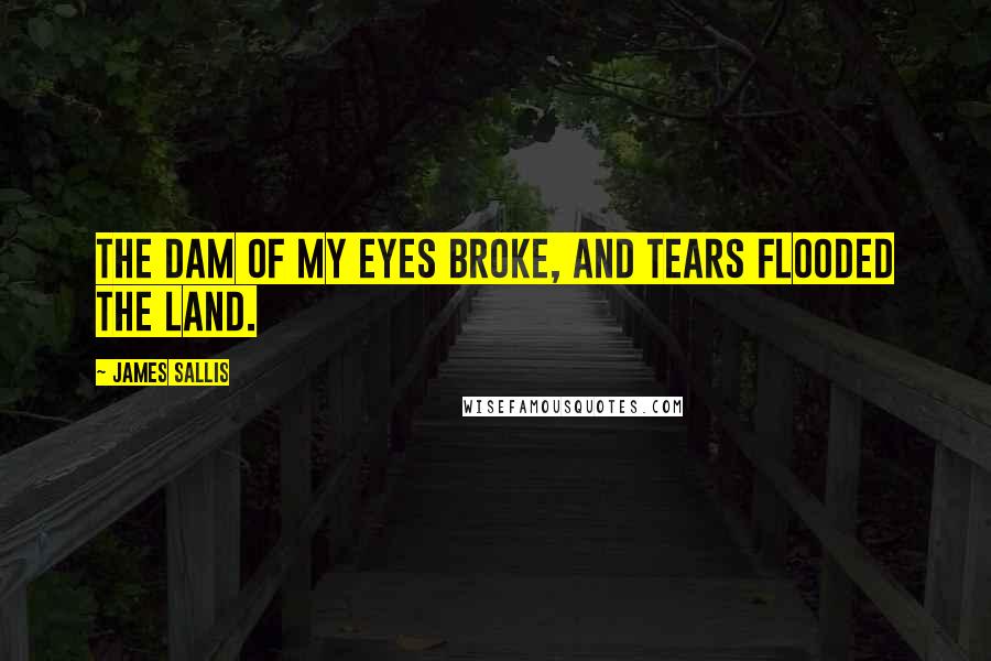 James Sallis Quotes: The dam of my eyes broke, and tears flooded the land.