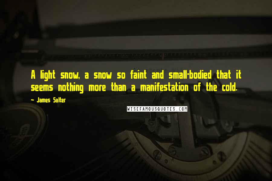 James Salter Quotes: A light snow, a snow so faint and small-bodied that it seems nothing more than a manifestation of the cold.
