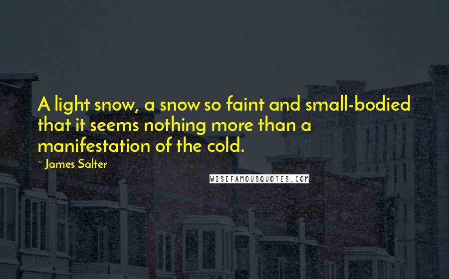 James Salter Quotes: A light snow, a snow so faint and small-bodied that it seems nothing more than a manifestation of the cold.