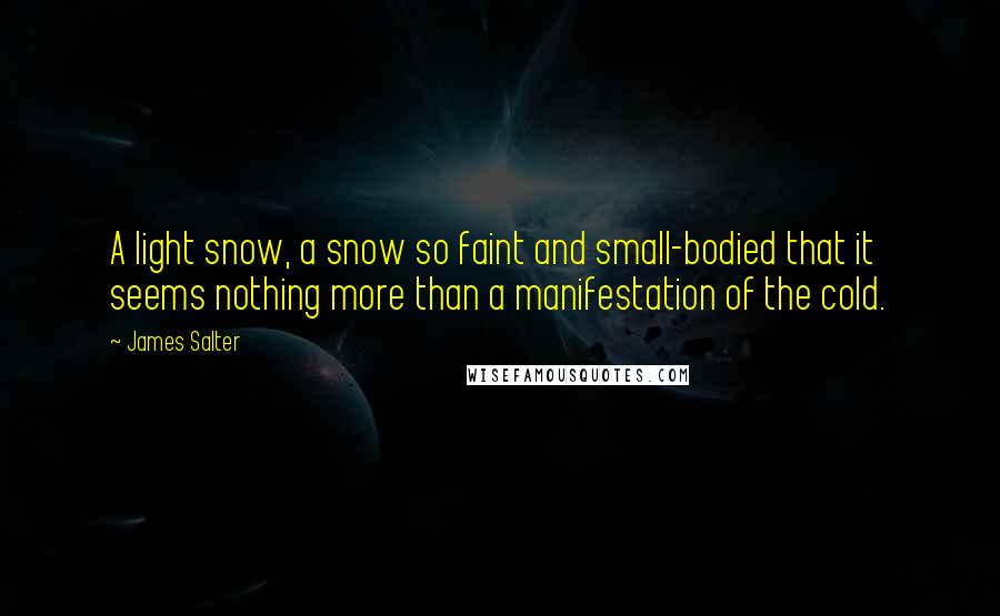 James Salter Quotes: A light snow, a snow so faint and small-bodied that it seems nothing more than a manifestation of the cold.