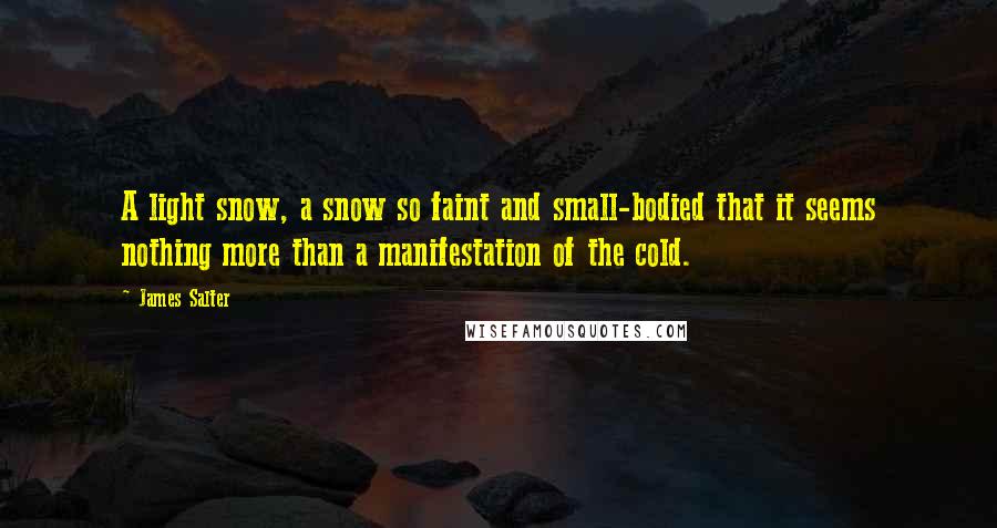 James Salter Quotes: A light snow, a snow so faint and small-bodied that it seems nothing more than a manifestation of the cold.