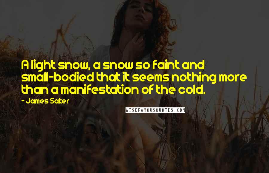 James Salter Quotes: A light snow, a snow so faint and small-bodied that it seems nothing more than a manifestation of the cold.