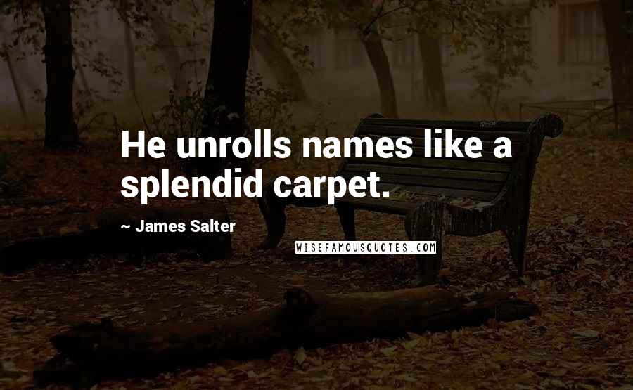 James Salter Quotes: He unrolls names like a splendid carpet.