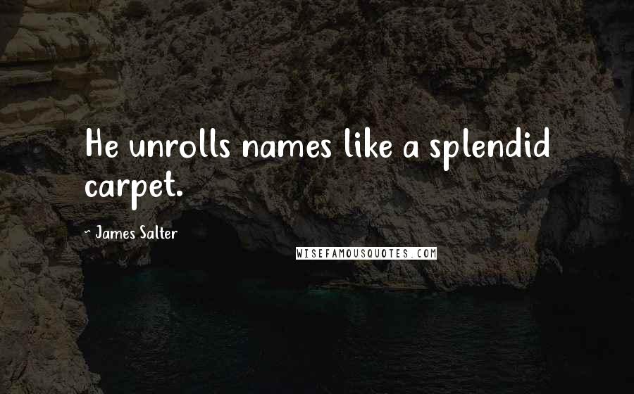 James Salter Quotes: He unrolls names like a splendid carpet.