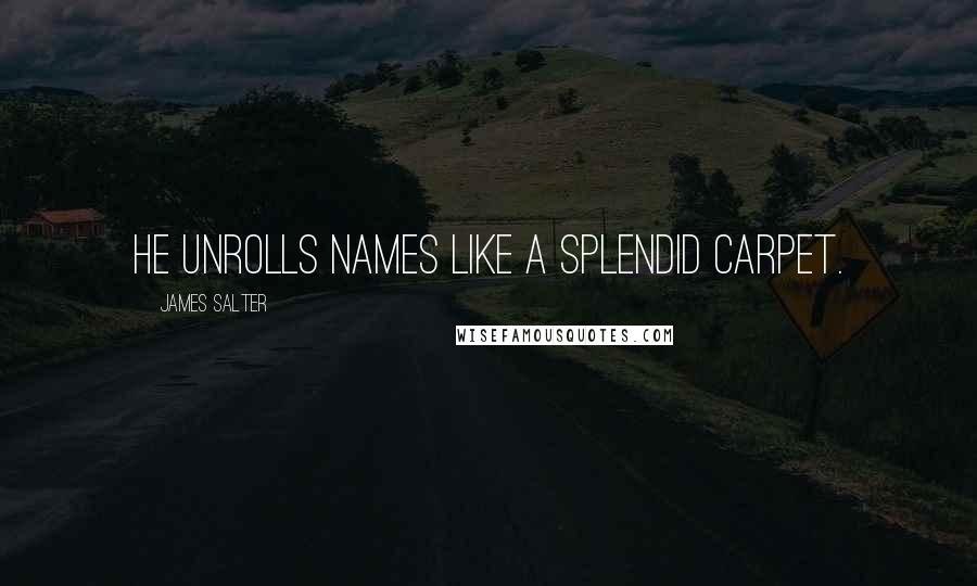 James Salter Quotes: He unrolls names like a splendid carpet.