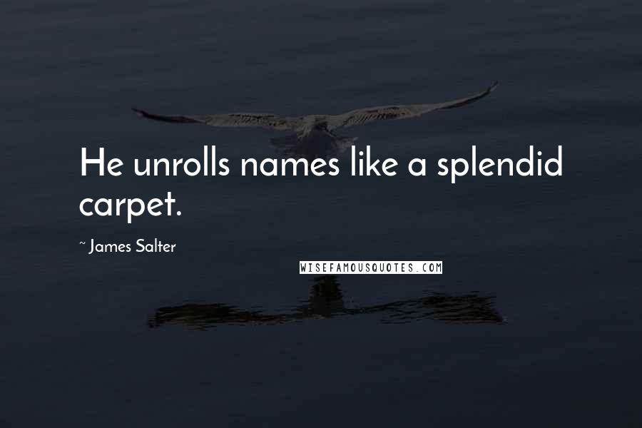 James Salter Quotes: He unrolls names like a splendid carpet.
