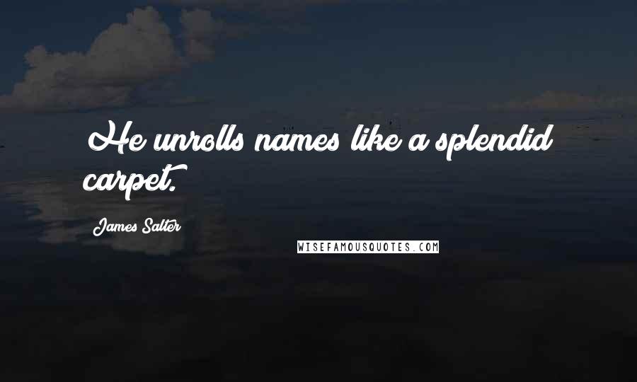 James Salter Quotes: He unrolls names like a splendid carpet.