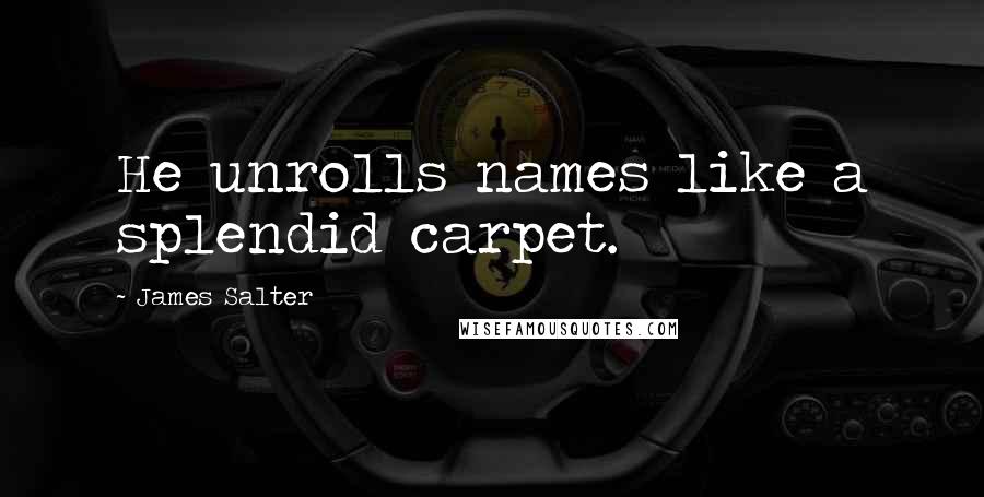 James Salter Quotes: He unrolls names like a splendid carpet.