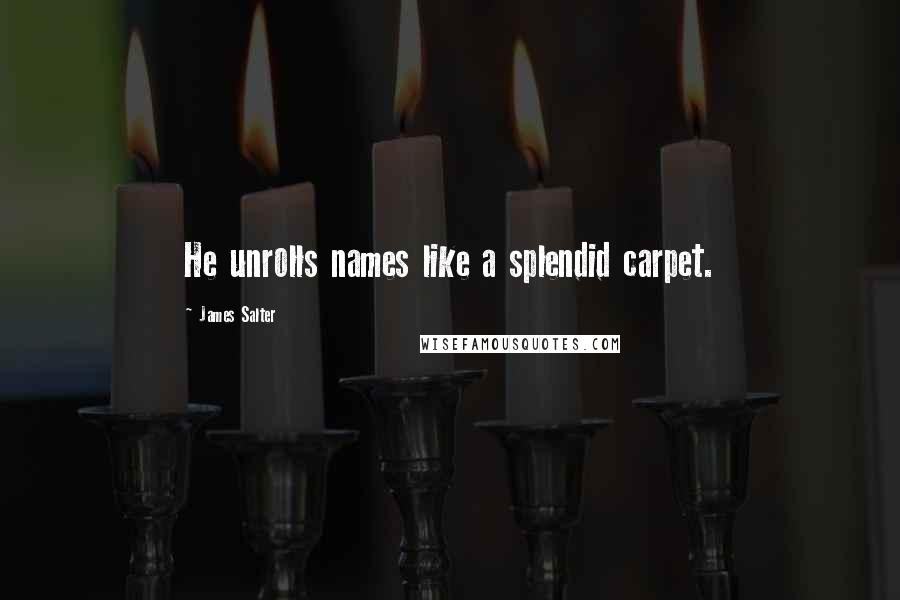 James Salter Quotes: He unrolls names like a splendid carpet.