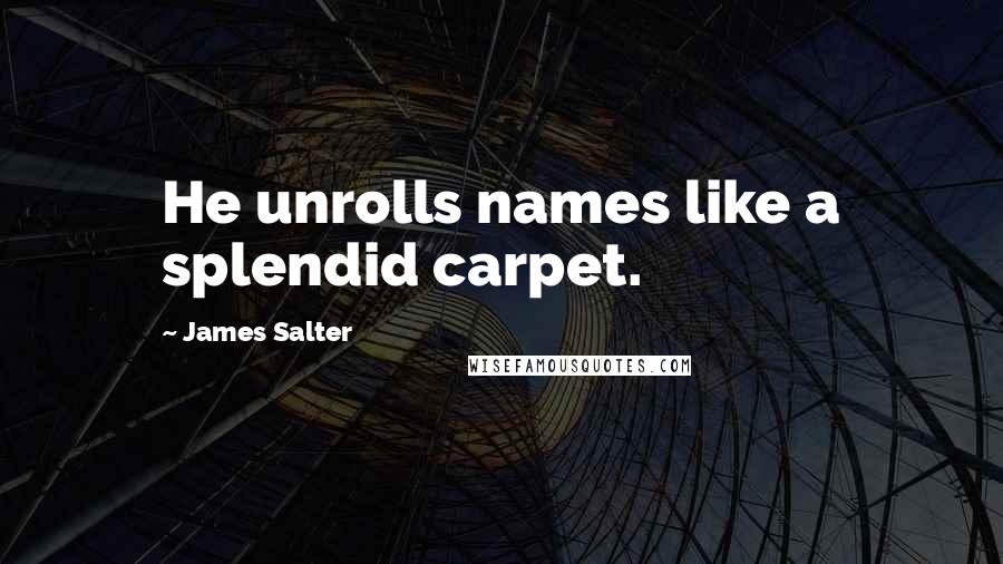 James Salter Quotes: He unrolls names like a splendid carpet.