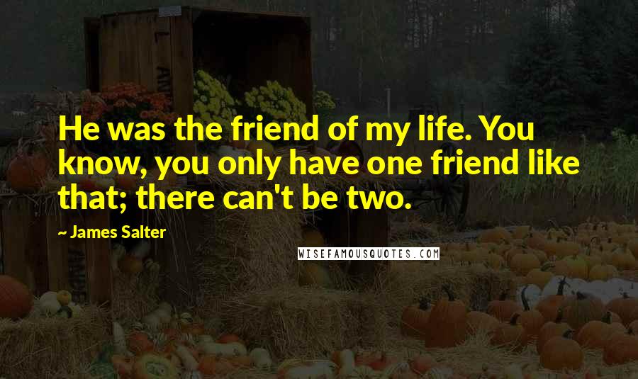 James Salter Quotes: He was the friend of my life. You know, you only have one friend like that; there can't be two.