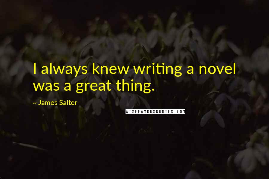 James Salter Quotes: I always knew writing a novel was a great thing.