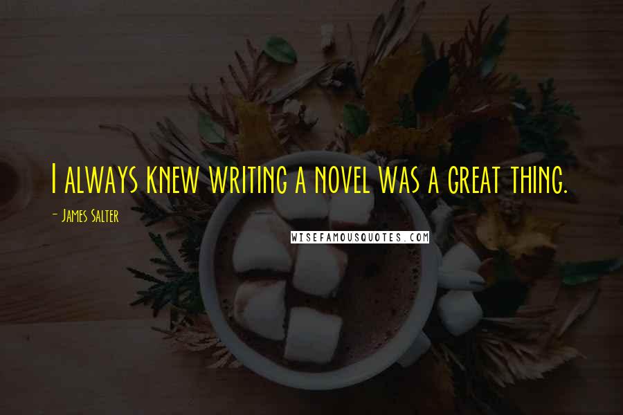 James Salter Quotes: I always knew writing a novel was a great thing.