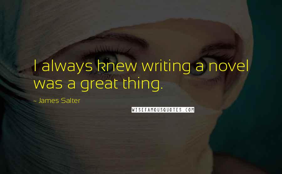 James Salter Quotes: I always knew writing a novel was a great thing.