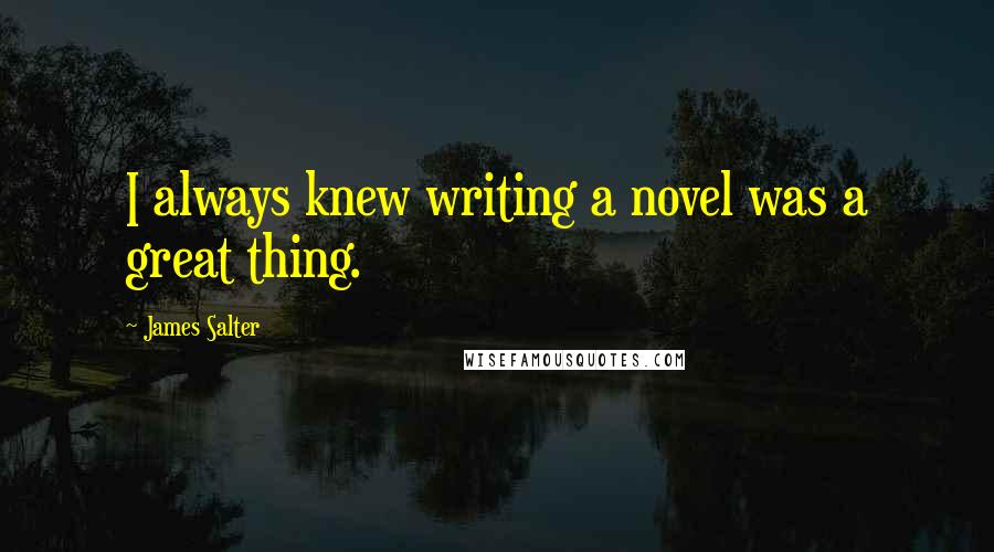 James Salter Quotes: I always knew writing a novel was a great thing.