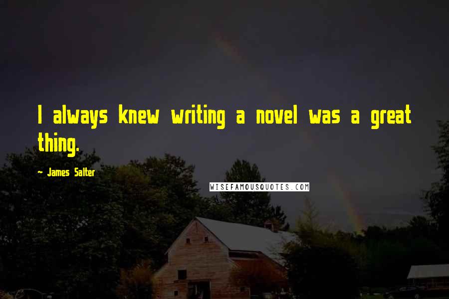 James Salter Quotes: I always knew writing a novel was a great thing.