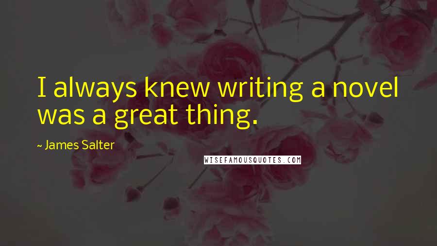 James Salter Quotes: I always knew writing a novel was a great thing.