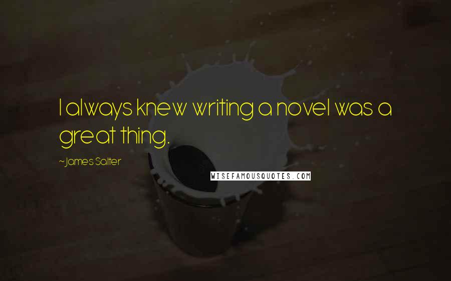 James Salter Quotes: I always knew writing a novel was a great thing.