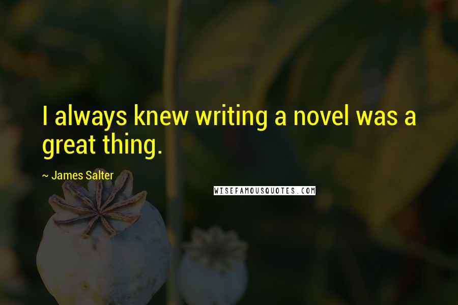 James Salter Quotes: I always knew writing a novel was a great thing.