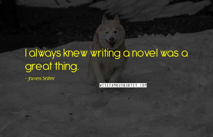 James Salter Quotes: I always knew writing a novel was a great thing.