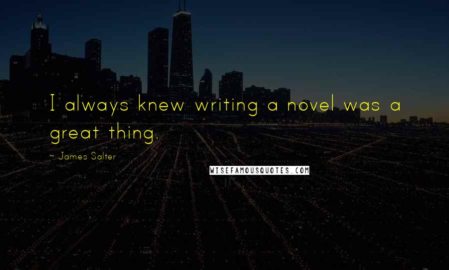 James Salter Quotes: I always knew writing a novel was a great thing.