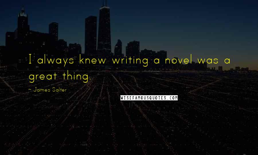 James Salter Quotes: I always knew writing a novel was a great thing.