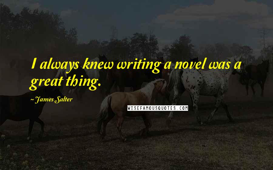 James Salter Quotes: I always knew writing a novel was a great thing.