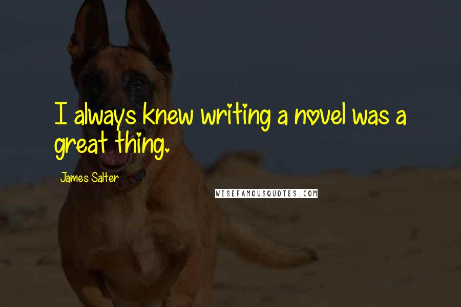 James Salter Quotes: I always knew writing a novel was a great thing.