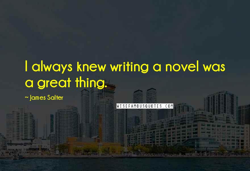 James Salter Quotes: I always knew writing a novel was a great thing.