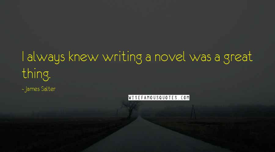 James Salter Quotes: I always knew writing a novel was a great thing.