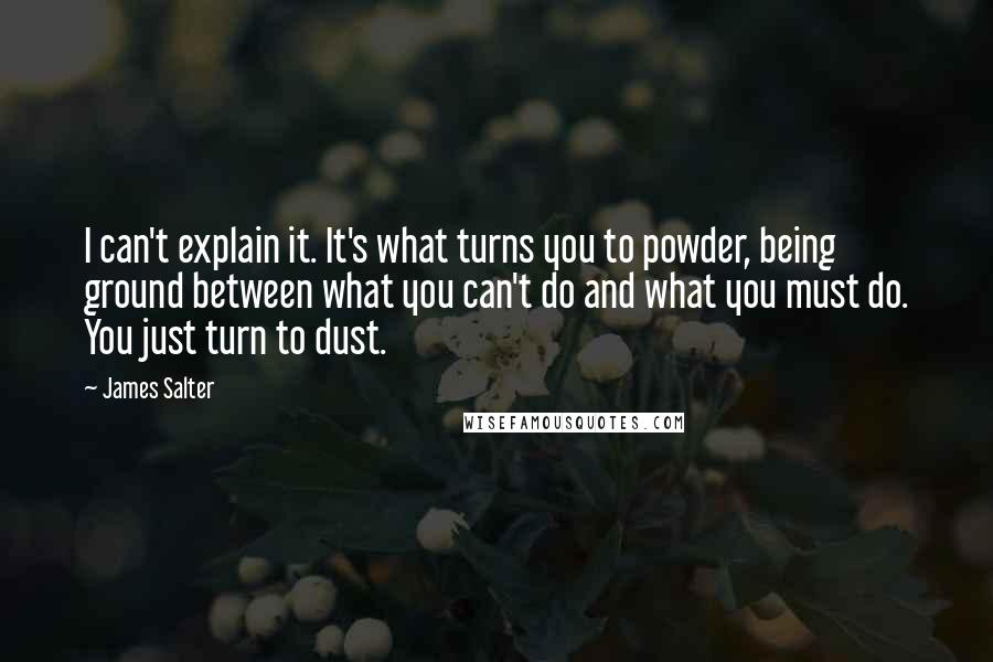 James Salter Quotes: I can't explain it. It's what turns you to powder, being ground between what you can't do and what you must do. You just turn to dust.