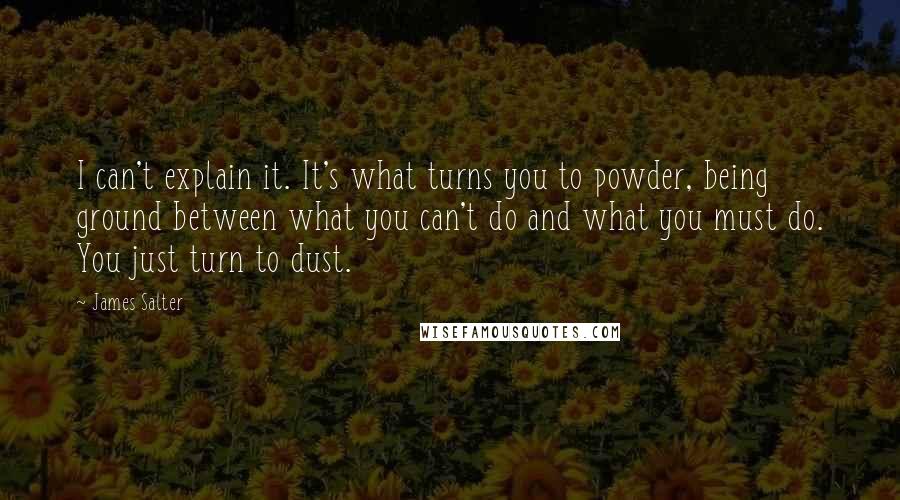 James Salter Quotes: I can't explain it. It's what turns you to powder, being ground between what you can't do and what you must do. You just turn to dust.