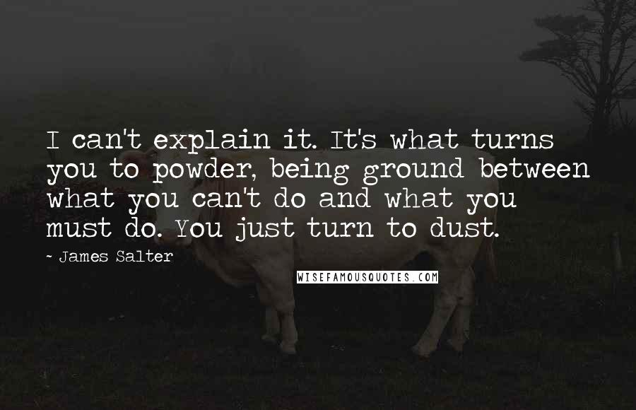 James Salter Quotes: I can't explain it. It's what turns you to powder, being ground between what you can't do and what you must do. You just turn to dust.