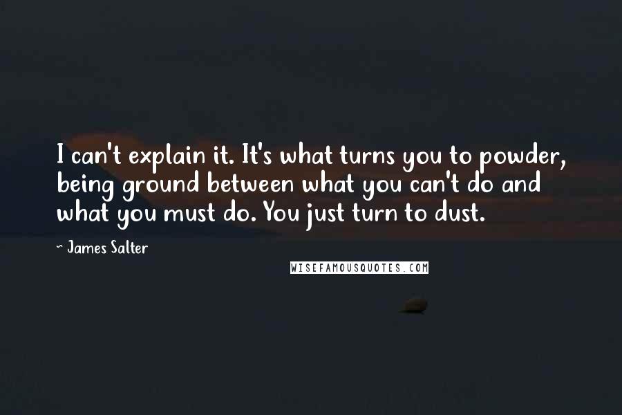 James Salter Quotes: I can't explain it. It's what turns you to powder, being ground between what you can't do and what you must do. You just turn to dust.