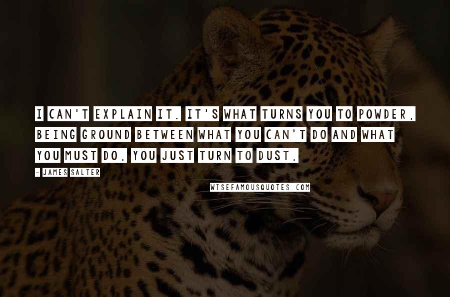 James Salter Quotes: I can't explain it. It's what turns you to powder, being ground between what you can't do and what you must do. You just turn to dust.