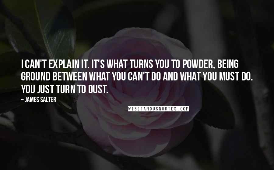James Salter Quotes: I can't explain it. It's what turns you to powder, being ground between what you can't do and what you must do. You just turn to dust.
