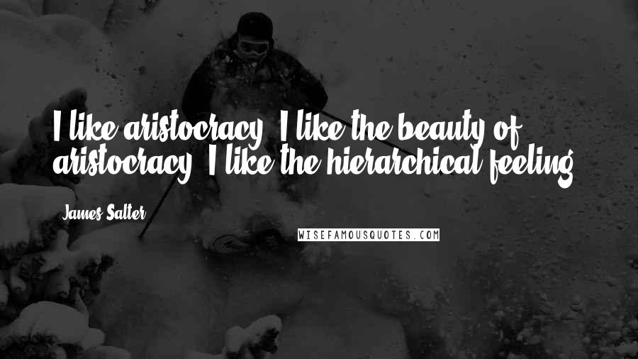 James Salter Quotes: I like aristocracy. I like the beauty of aristocracy. I like the hierarchical feeling.