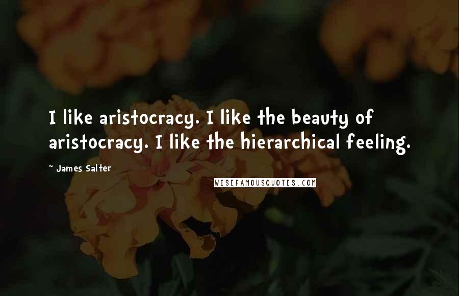 James Salter Quotes: I like aristocracy. I like the beauty of aristocracy. I like the hierarchical feeling.