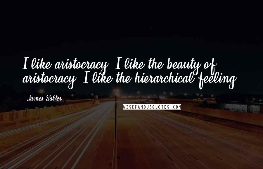 James Salter Quotes: I like aristocracy. I like the beauty of aristocracy. I like the hierarchical feeling.