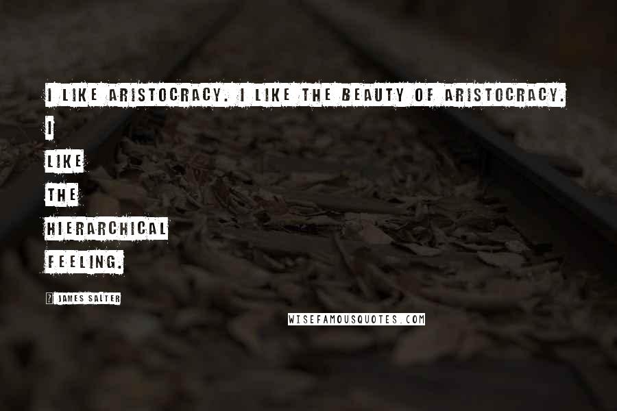 James Salter Quotes: I like aristocracy. I like the beauty of aristocracy. I like the hierarchical feeling.