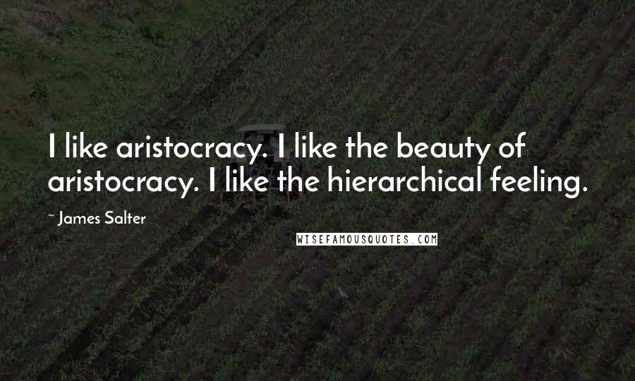 James Salter Quotes: I like aristocracy. I like the beauty of aristocracy. I like the hierarchical feeling.