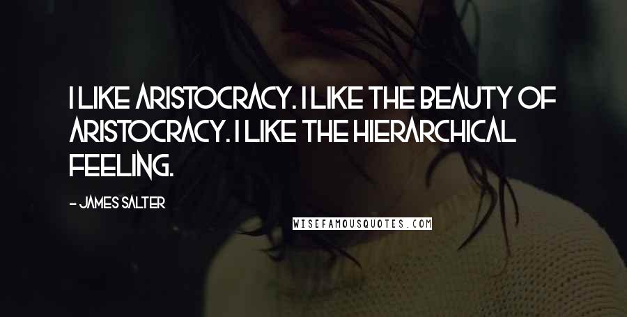 James Salter Quotes: I like aristocracy. I like the beauty of aristocracy. I like the hierarchical feeling.