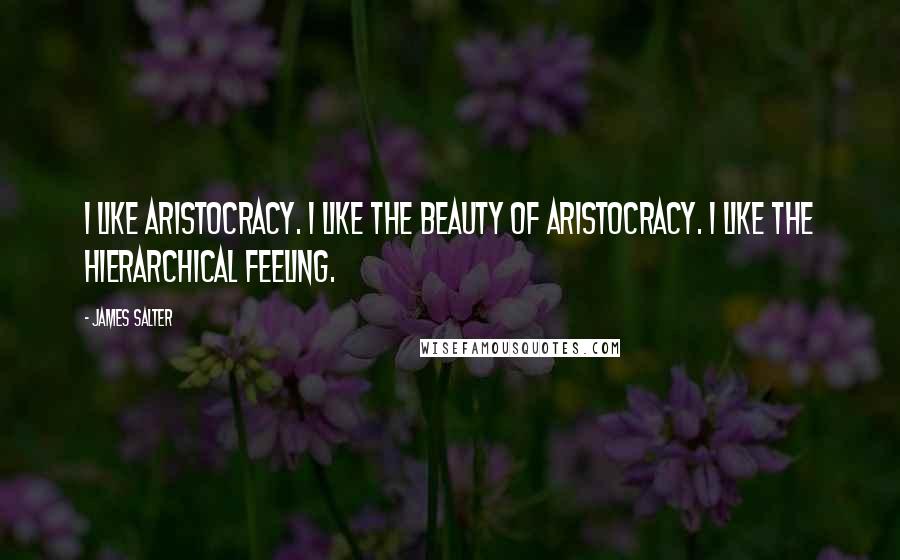 James Salter Quotes: I like aristocracy. I like the beauty of aristocracy. I like the hierarchical feeling.