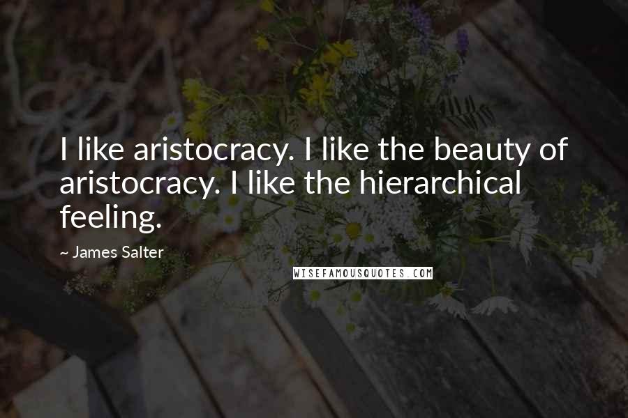 James Salter Quotes: I like aristocracy. I like the beauty of aristocracy. I like the hierarchical feeling.