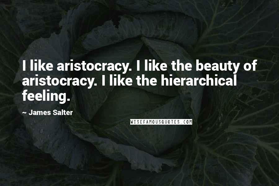 James Salter Quotes: I like aristocracy. I like the beauty of aristocracy. I like the hierarchical feeling.