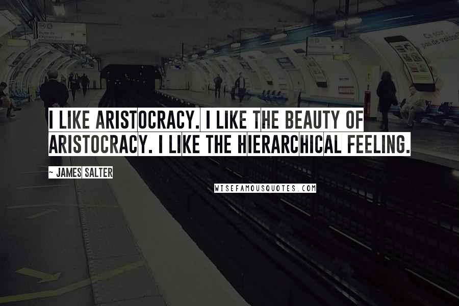 James Salter Quotes: I like aristocracy. I like the beauty of aristocracy. I like the hierarchical feeling.