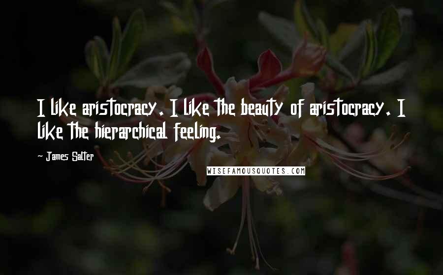 James Salter Quotes: I like aristocracy. I like the beauty of aristocracy. I like the hierarchical feeling.